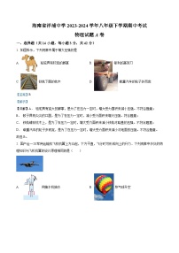 海南省洋浦中学2023-2024学年八年级下学期期中考试物理试题A卷（原卷版+解析版）