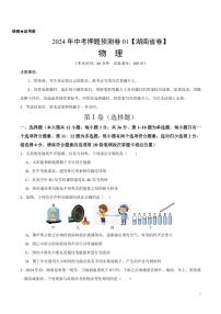 2024年中考押题预测卷（湖南省卷）物理（考试版）