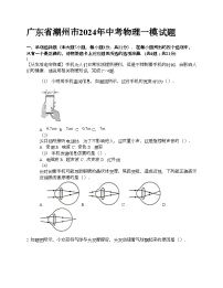 广东省潮州市2024年中考物理一模试题