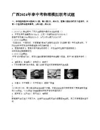 广西2024年春中考物理模拟联考试题