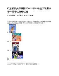 广东省汕头市潮阳区2024年九年级下学期中考一模考试物理试题