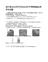 四川省乐山市市中区2024年中考物理适应性考试试题