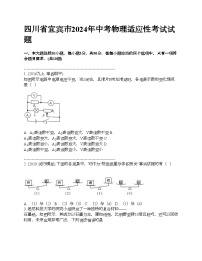 四川省宜宾市2024年中考物理适应性考试试题