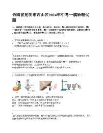 云南省昆明市西山区2024年中考一模物理试题