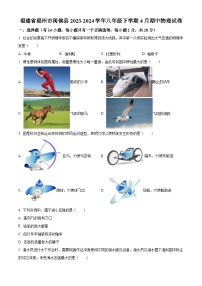 福建省福州市闽侯县2023-2024学年八年级下学期4月期中物理试题（原卷版+解析版）