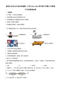 黑龙江省绥化市安达市吉星岗镇第一中学2023-2024学年八年级下学期4月期中物理试题