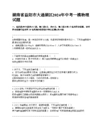 湖南省益阳市大通湖区2024年中考一模物理试题