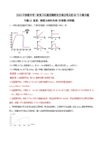 专题12 速度、路程与时间关系的图像应用题 -2024年物理中考题型专练（全国通用）