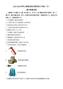 云南省昆明市嵩明县2023-2024学年八年级下学期期中物理试卷（原卷版+解析版）