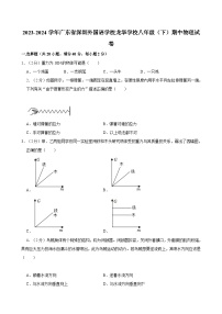 2023-2024学年广东省深圳外国语学校龙华学校八年级（下）期中物理试卷