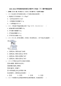 2023-2024学年陕西省西安交大附中八年级（下）期中物理试卷