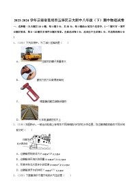 2023-2024学年云南省昆明市五华区云大附中八年级（下）期中物理试卷