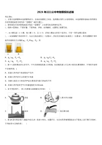 2024 年湖北省中考物理模似试卷（解析版）