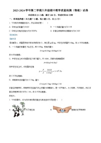 28，广东省珠海市香洲区珠海市第九中学2023-2024学年八年级下学期4月期中物理试题