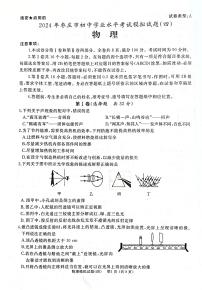 2024年山东省枣庄市初中学业水平考试模拟物理试卷（四）