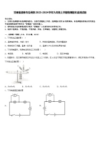 甘肃省酒泉市瓜州县2023-2024学年九年级上学期期末监测物理试题