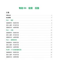 专题06 密度 压强（讲练）- 中考物理二轮复习讲与练（全国通用）