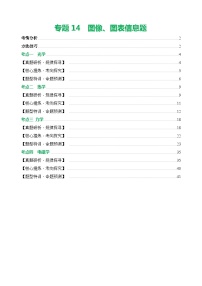 专题15 图像、图表信息题（讲练）- 中考物理二轮复习讲与练（全国通用）