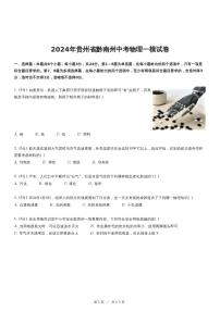 2024年贵州省黔南州中考物理一模试卷