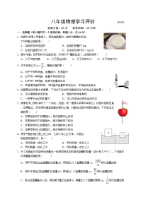 江苏省南通市海安市西片联盟2023-2024学年八年级下学期期中物理试卷