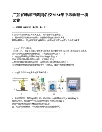 广东省珠海市紫荆名校2024年中考物理一模试卷