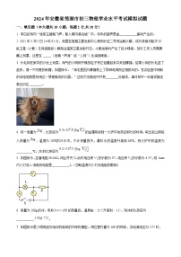 2024年安徽省芜湖市中考学业水平考试模拟物理试题（原卷版+解析版）