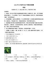 2024年广东省湛江市廉江市中考二模物理试题（原卷版+解析版）