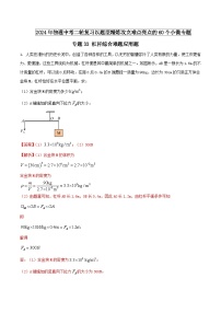 中考物理二轮复习题型精练攻克难点练习专题33 杠杆综合难题应用题（含解析）