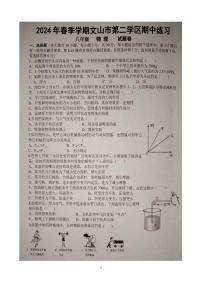 云南省文山市第二学区联考2023-2024学年八年级下学期期中考试物理试题