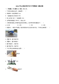 2024年山东枣庄市中考物理三模试卷（原卷版+解析版）