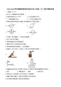 2023-2024学年湖南省株洲市攸县片区八年级（下）期中物理试卷（含解析）