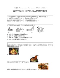 重庆市奉节县2023-2024学年九年级上学期期末物理试卷
