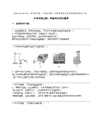 中考物理冲刺必刷专题：声音的利用与噪声