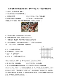 江西省南昌市名校2023-2024学年八年级下学期期中物理试卷