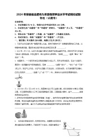 2024年安徽省合肥市九年级物理学业水平考试模拟试题