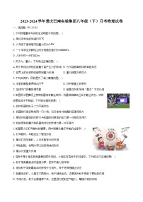 2023-2024学年重庆巴南实验集团八年级（下）月考物理试卷（含解析）