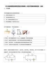 2024年陕西西安雁塔区西安市高新第一中学中考模拟物理试卷（七模）