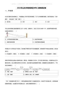 2024年山东济南高新区中考二模物理试卷