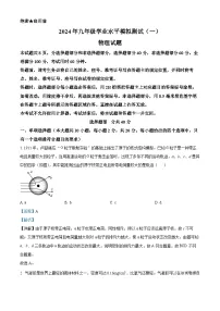2024年山东省济南市历城区中考一模物理试题