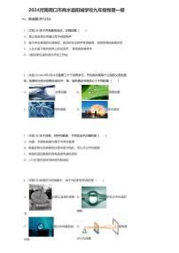 05，2024年河南周口市商水县阳城学校九年级物理中考一模试卷