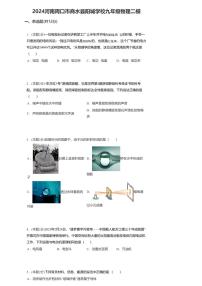 06，2024年河南周口市商水县阳城学校九年级物理中考二模试卷