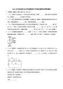 2024年河南省驻马店市新蔡县中考物理调研试卷附解析