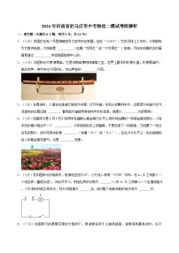 2024年河南省驻马店市中考物理二模试卷附解析