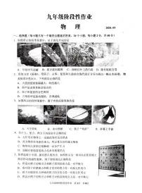 2024年山东省临沂市沂水县中考二模物理试题