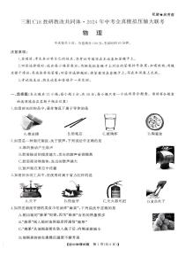 2024年湖南省岳阳市三湘C18联盟中考物理全真模拟压轴大联考试卷