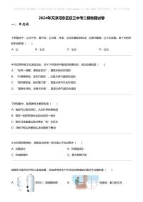 2024年天津河东区初三中考二模物理试卷