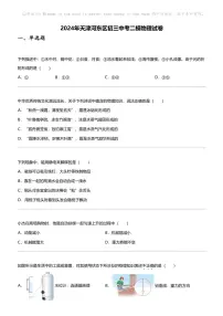 2024年天津河东区初三中考二模物理试卷