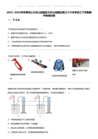 2023_2024学年黑龙江大庆让胡路区大庆让胡路区第三十六中学初三下学期期中物理试卷