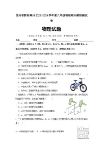 05，贵州省黔东南州2023-2024学年八年级下学期物理期末模拟测试卷