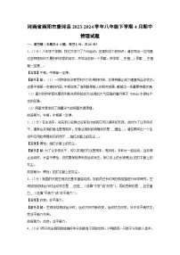 【物理】河南省南阳市唐河县2023-2024学年八年级下学期4月期中物理试题